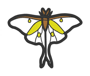Luna Moth Applique Designs - Five Sizes 4x4, 5x7 wide, 5x7 long, 6x10, 8x12