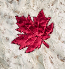 Maple Leaf Raw Edge Applique Design - Cinq tailles 4x4 5x7, 6x10, 8x8, 14x14